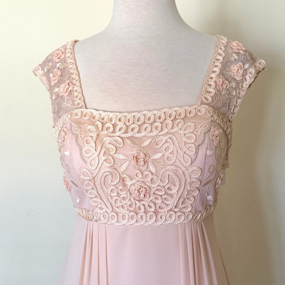 Sue Wong Gown NWT Long Dress Blush Size 10